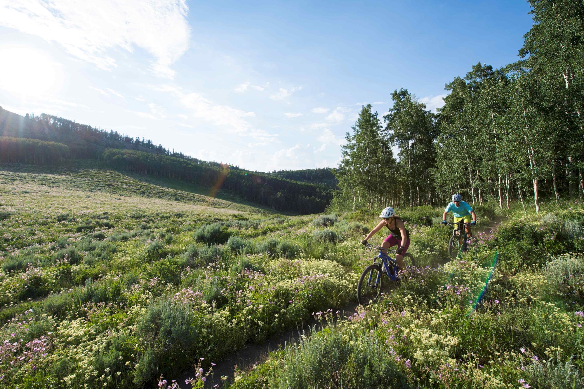 Two mountain bikers ride a wildflower-filled trail through a sunny, open meadow with forested hills in the background.