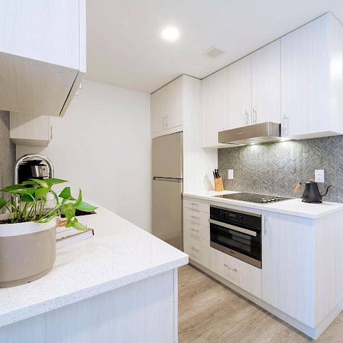 Modern kitchen with white cabinets, stainless steel appliances, a plant on the countertop, and a gray backsplash. Ends the sentence.