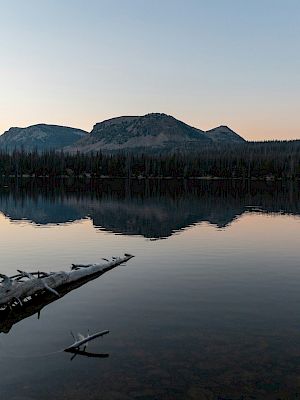 A tranquil lake reflecting distant mountains, surrounded by a tree line, with a fallen log jutting into the water in the foreground.