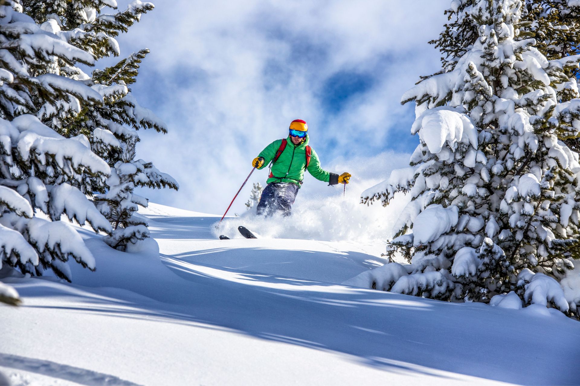 A skier in a green jacket and blue pants carves through fresh powder between snow‑covered trees, sunlit blue sky above, pressing downhill gracefully.