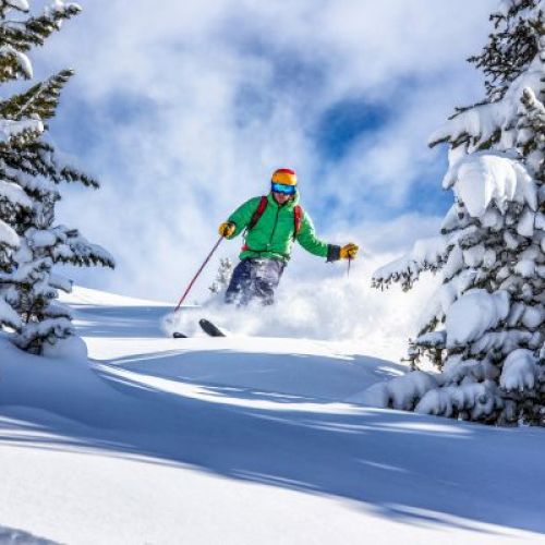 A skier glides down a pristine, powdery slope framed by snow-laden trees, carving a graceful turn on sunny winter day.