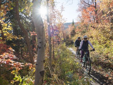 Two cyclists ride a dirt path through an autumn forest, sunbeams and colorful leaves glowing around them.